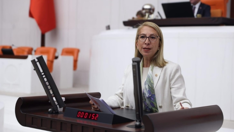 CHP Muğla Milletvekili ve Parti Meclis Üyesi Süreyya Öneş Derici,