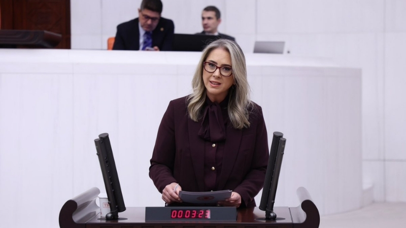 AK Ğarti İzmir Milletvekili Ceyda Bölünmez Çankırı, Türkiye Büyük Millet