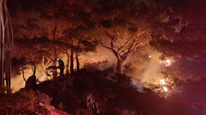 Muğla'nın Bodrum ilçesinde ormanlık alanda çıkan yangın ekiplerin müdahalesi ile