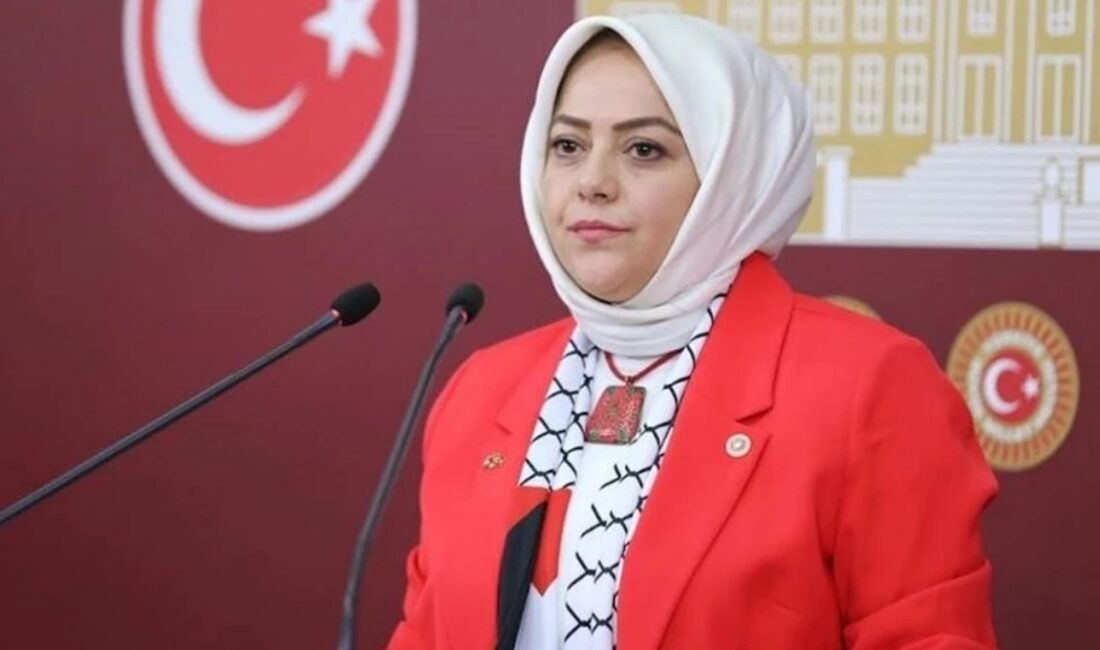 Gelecek Partisi Denizli Milletvekili Sema Silkün Ün, Türkiye’de kayıp çocuklara