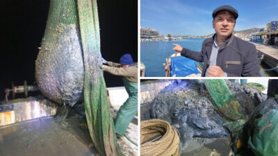 İzmir Körfezi’nde yürütülen temizlik çalışmaları kapsamında çıkarılan dip çamurunun Foça