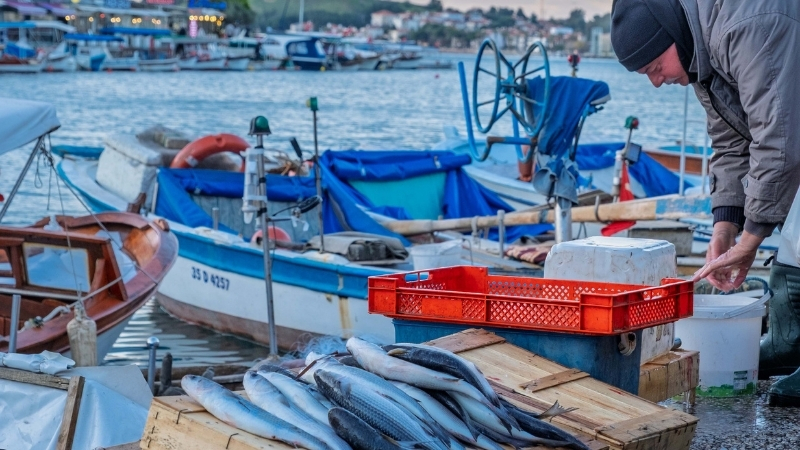 İzmir’in Foça İlçesi 28-29 Mart 2026 günleri Yerel Balık Festivali’ne