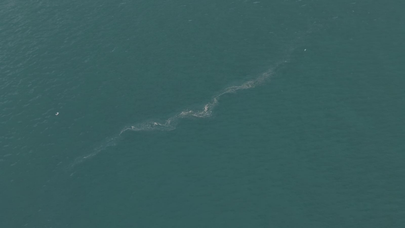 İzmir Büyükşehir Belediyesi’nin dron destekli rutin taramalarında, İzmir Körfezi’nde Karşıyaka