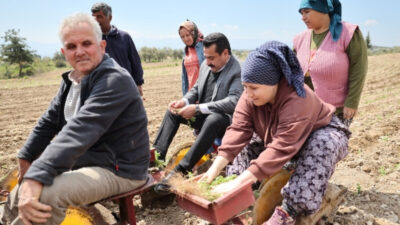 Pamukkale Belediye Başkanı Ali Rıza Ertemur, makamda değil bu kez
