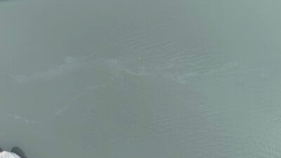 İzmir Büyükşehir Belediyesi tarafından yürütülen rutin dron taramaları, İzmir Körfezi’nde