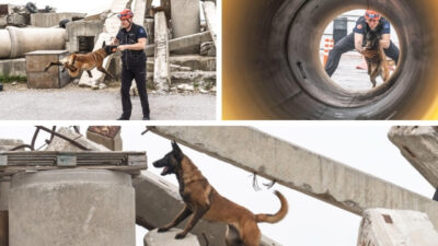 İzmir Büyükşehir Belediyesi İtfaiyesi K9 Birimi, yalnızca afetlere hazırlanmıyor; aynı