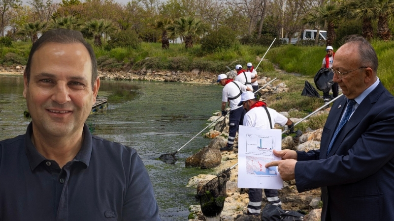 İzmir Büyükşehir Belediyesi ekipleri, Körfez’de görülen deniz marullarının temizlenmesi için