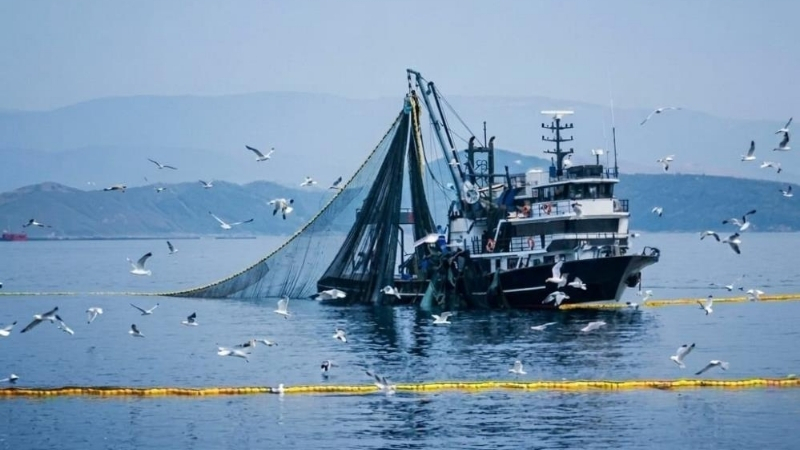 Tarım ve Orman Bakanlığı, denizlerde sürdürülebilir balıkçılığın sağlanması amacıyla gırgır