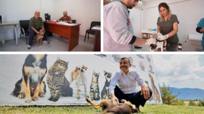 Denizli Büyükşehir Belediyesi, sokak hayvanlarına yönelik çalışmalarında dikkat çeken bir