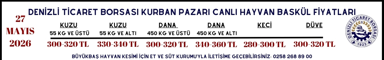Ege Yön Haber Görsel