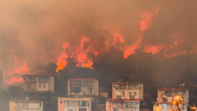 İzmir'in Dikili ilçesinde tarım alanında çıkan ve ormanlık alana sıçrayan