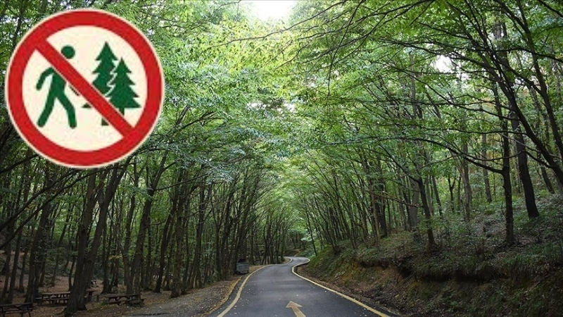 İzmir Valiliği, artan sıcaklıklar ve yükselen yangın riski nedeniyle il