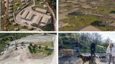 İzmir Büyükşehir Belediyesi, Dikili’de ameliyathaneden doğal yaşam alanlarına, bakım ve