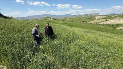 Manisa Büyükşehir Belediyesi’nin kırsal kalkınmayı desteklemek amacıyla hayata geçirdiği “Destek