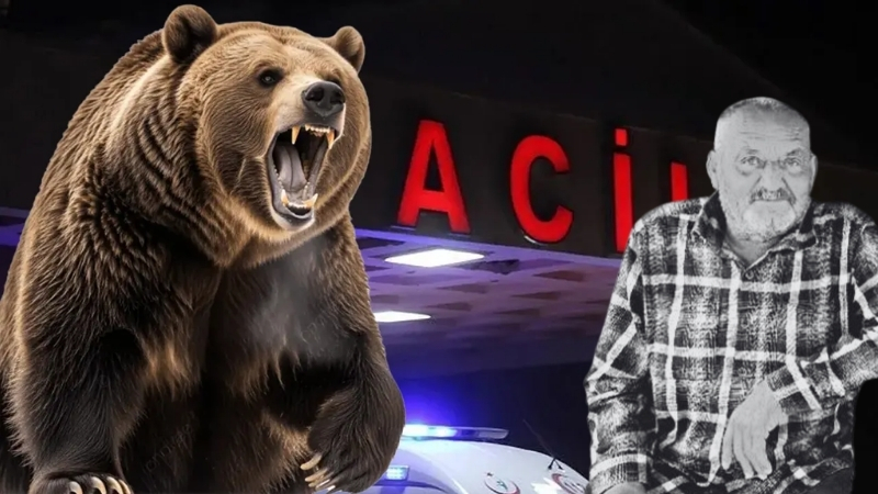Seferihisar ilçesinde gece saatlerinde kanepesinde uyuduğu sırada bölgeye inen bir