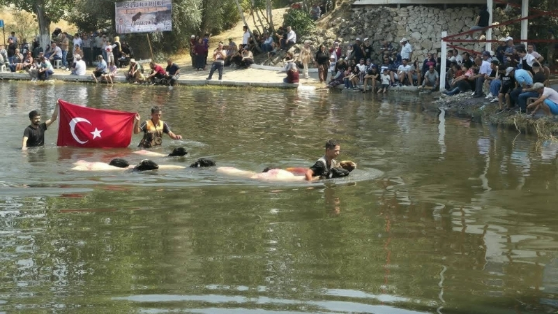 Denizli’nin Çal ilçesinde 853 yıldır kesintisiz sürdürülen ve UNESCO Somut