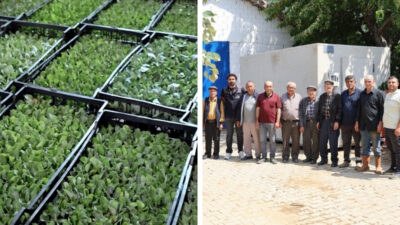 İzmir Büyükşehir Belediyesi, Ödemiş ilçe merkezine yaklaşık bir saat uzaklıktaki
