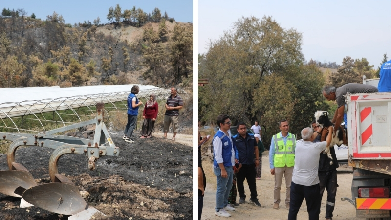 Muğla Büyükşehir Belediyesi, Seydikemer’de 29 Temmuz’da meydana gelen yangının ardından