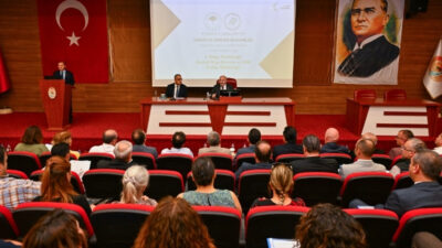 Denizli’de sahipsiz sokak hayvanlarına yönelik yürütülen çalışmalar, Vali Yavuz Selim