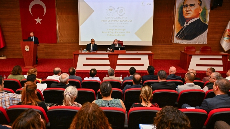 Denizli’de sahipsiz sokak hayvanlarına yönelik yürütülen çalışmalar, Vali Yavuz Selim