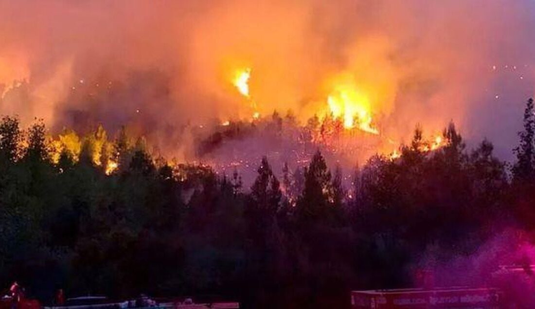 Muğla’nın merkez Yaraş Mahallesi yakınlarında sabah saatlerinde orman yangını çıktı.