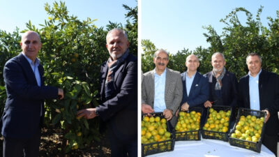 Sonbahar ve Kış mevsimlerinde C vitamini deposu olan, soğuk algınlığına