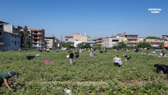 Bornova Belediyesi, yenilenebilir enerji yatırımları, sürdürülebilir tarım projeleri ve iklim